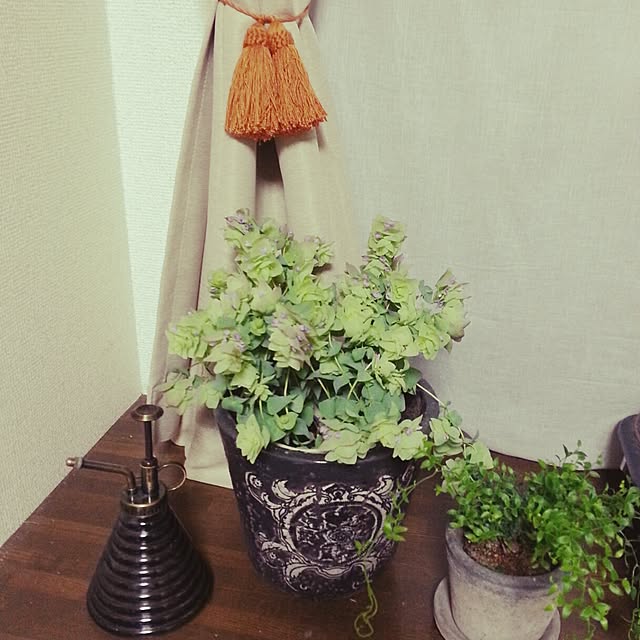 Ayakoさんの実例写真