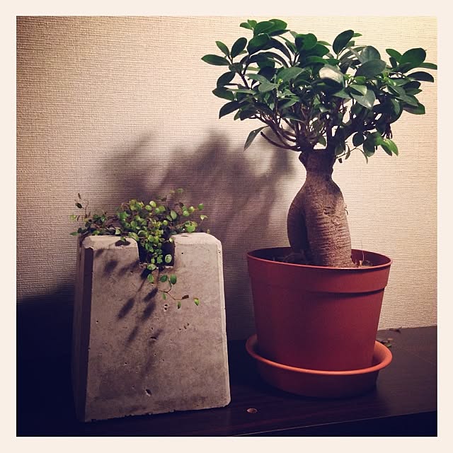 aknb08さんの実例写真