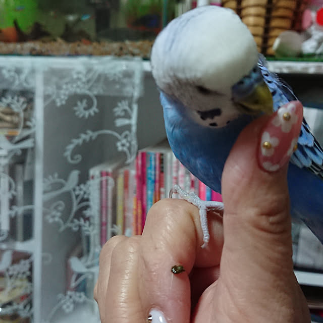 sueponさんの実例写真