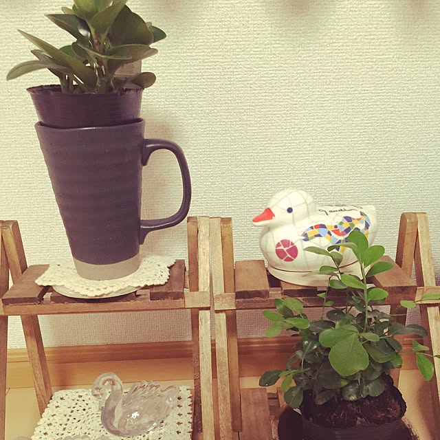 mayuさんの実例写真
