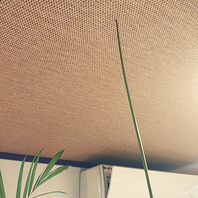 cocosorasakuさんの実例写真