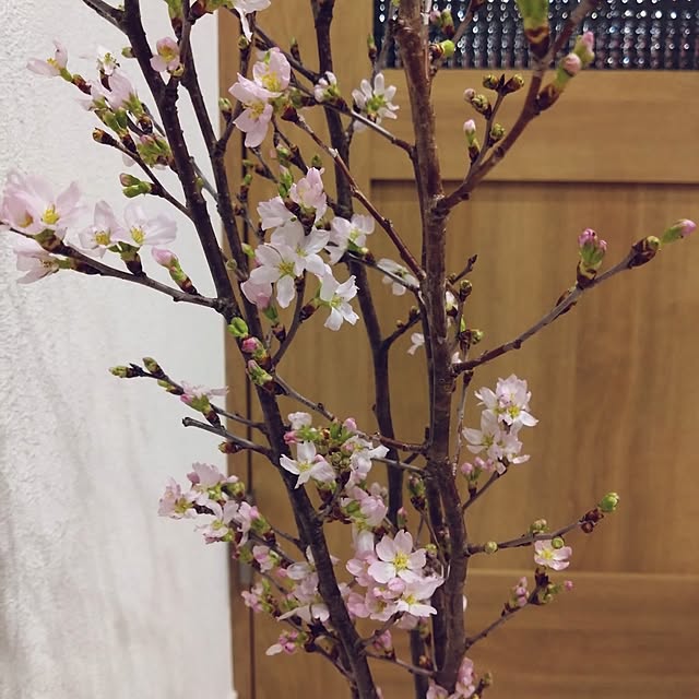 NAOKIさんの実例写真