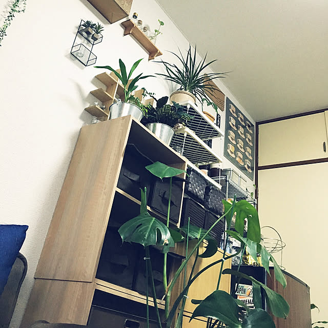 yomiyomiさんの実例写真