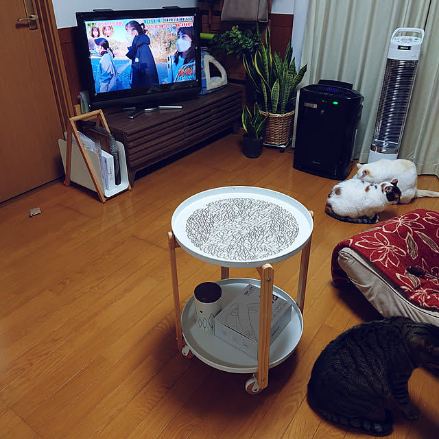 nachiさんの実例写真