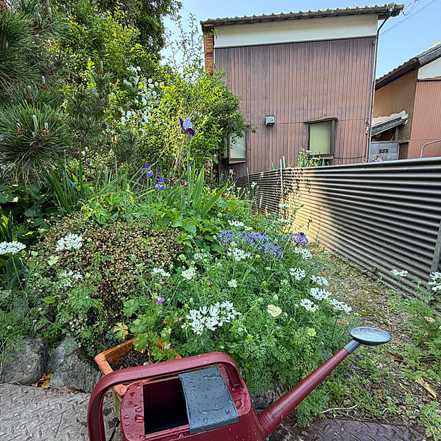 cotaさんの部屋