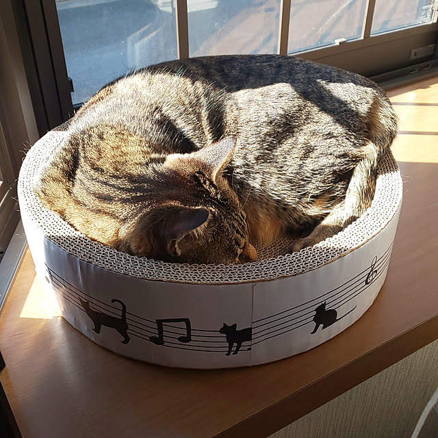 komugiさんの実例写真