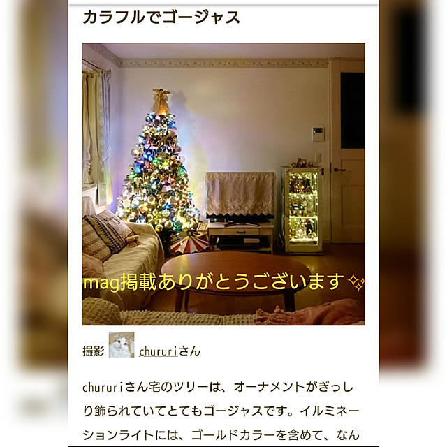chururiさんの実例写真