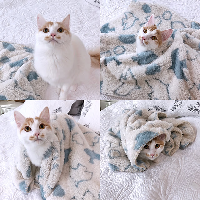 yuchiさんの実例写真