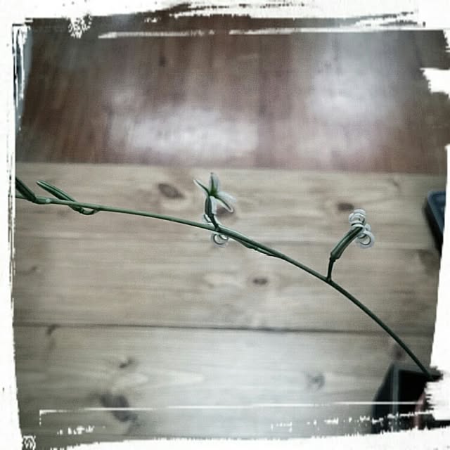 YABAI_VOLVOさんの実例写真