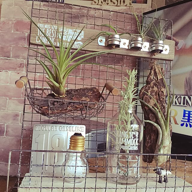 Nittaさんの実例写真