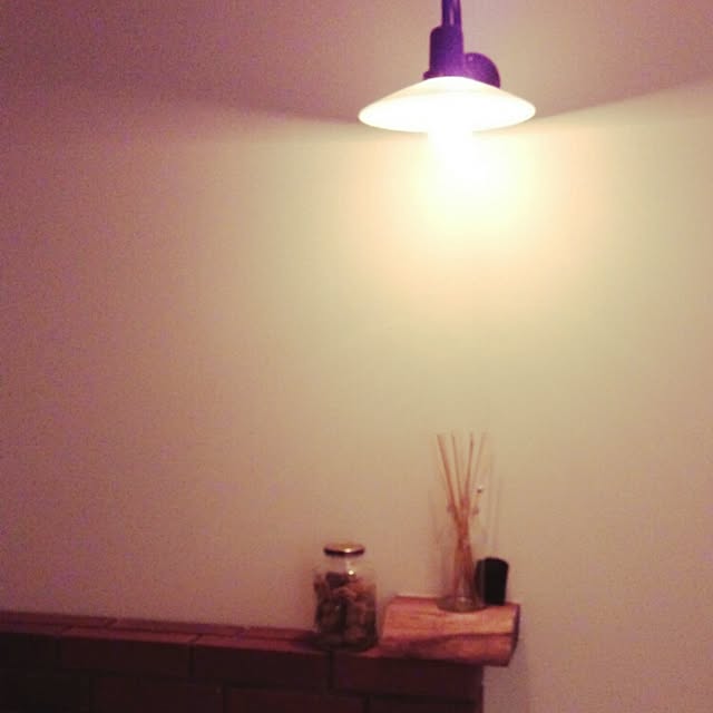 f-snowy-nestorさんの実例写真
