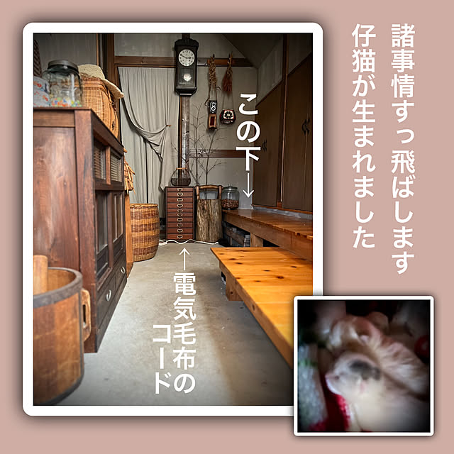 marusanさんの実例写真