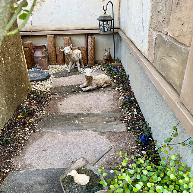 tabasaさんの部屋