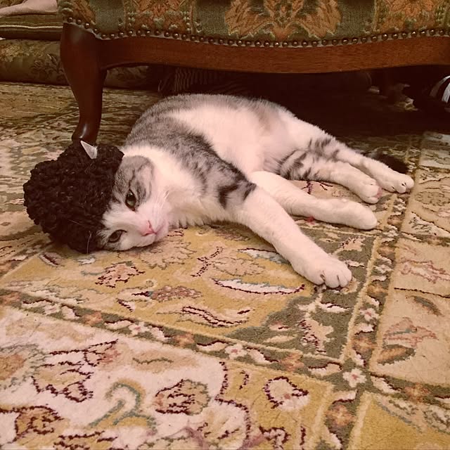 emmyyさんの実例写真