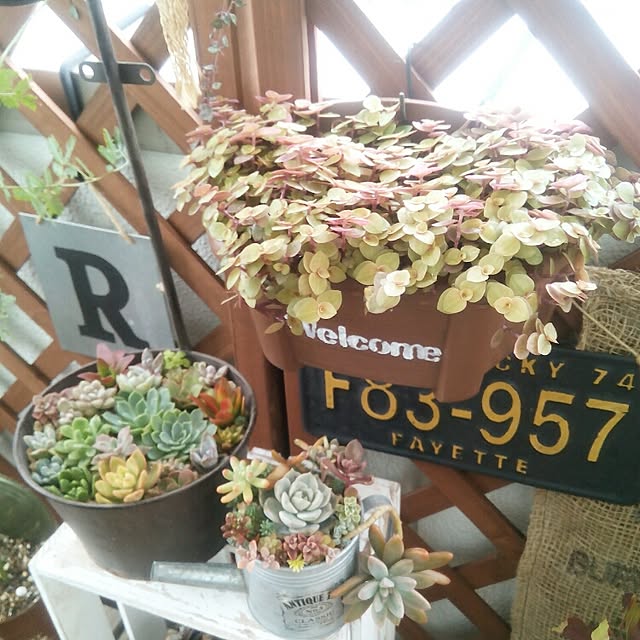 VERANDARJUNさんの実例写真