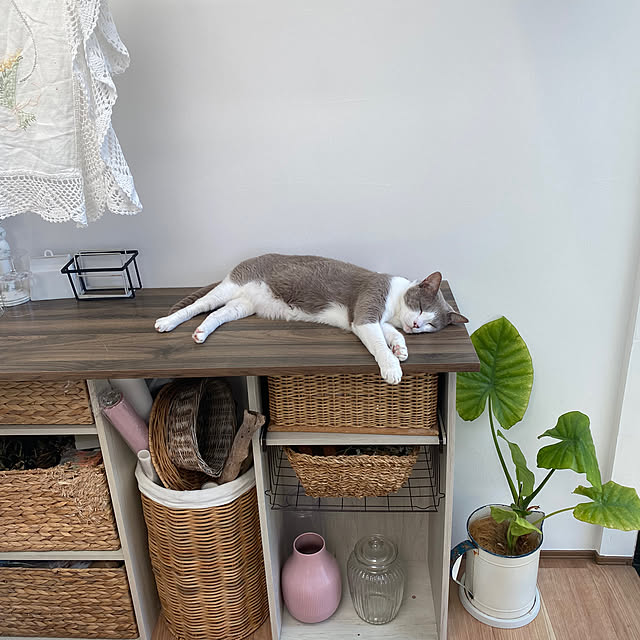 taakoさんの実例写真