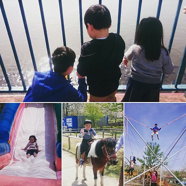 実例写真