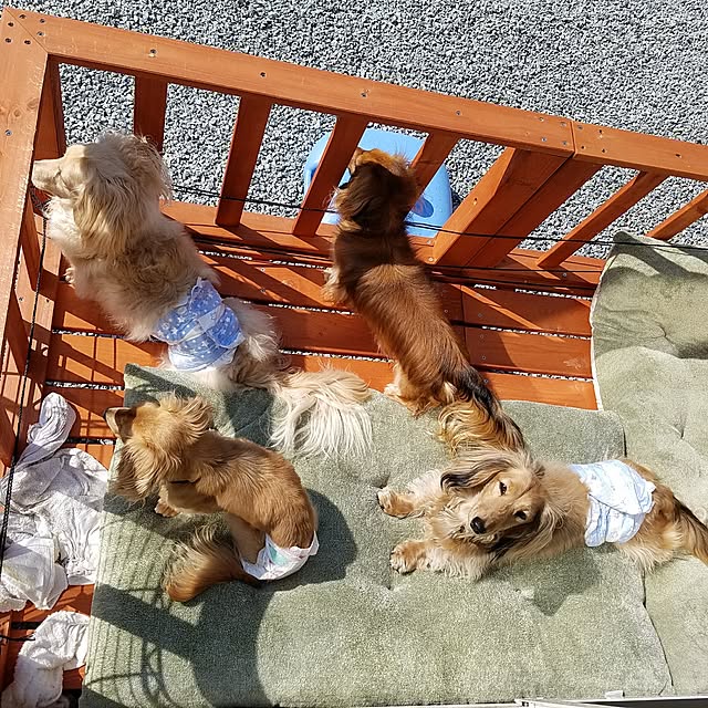 junnonさんの実例写真