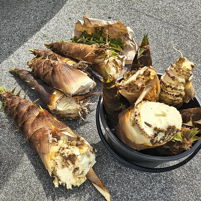 Rubiconさんの部屋