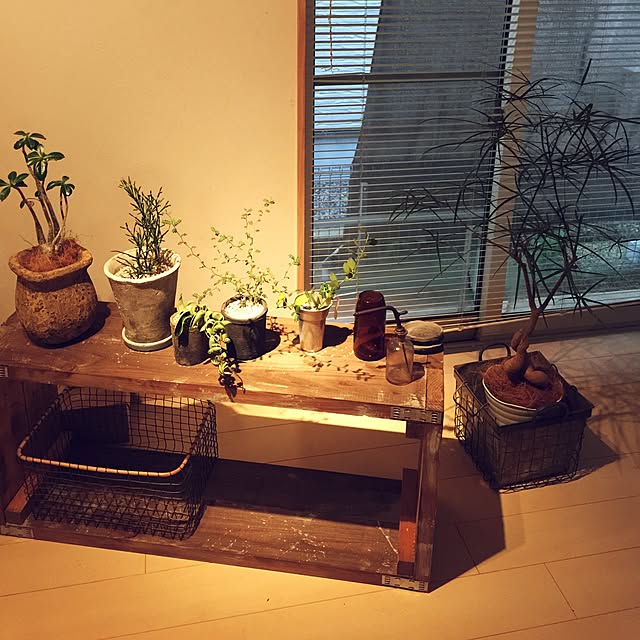 marley0209さんの実例写真
