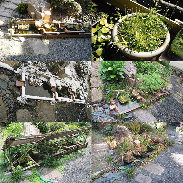 sazanamiさんの実例写真