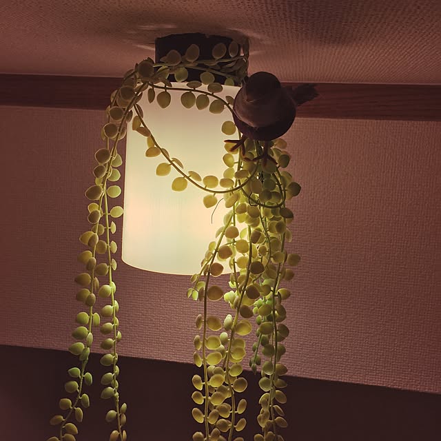 a_ipodさんの実例写真