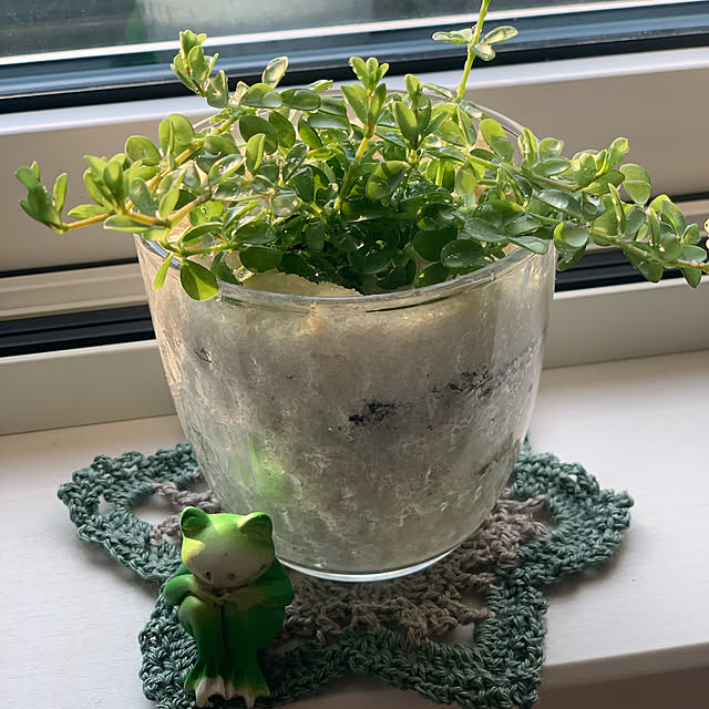 観葉植物/窓辺のディスプレイ/ベッド周りのインテリア実例 - 2020-04-28 17:26:29