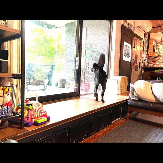 実例写真