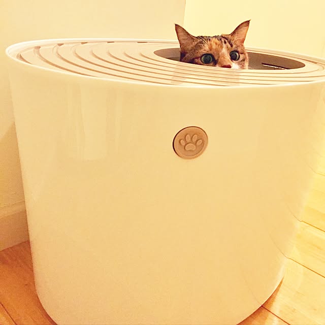maguuさんの実例写真