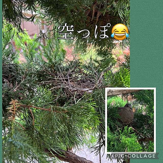 Aqettyさんの部屋