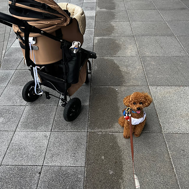 makiさんの実例写真