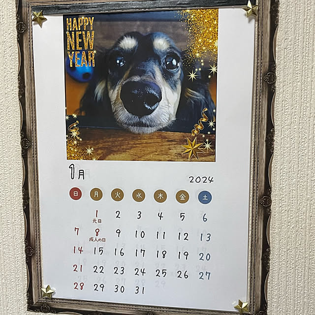 momocchiさんの実例写真