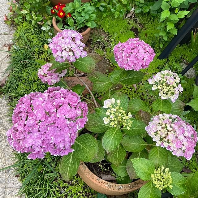 min_nimさんの部屋