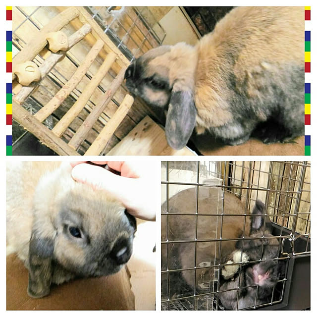 実例写真