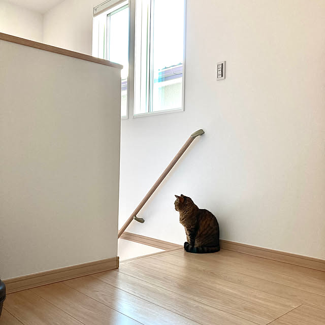 kirinsanさんの実例写真