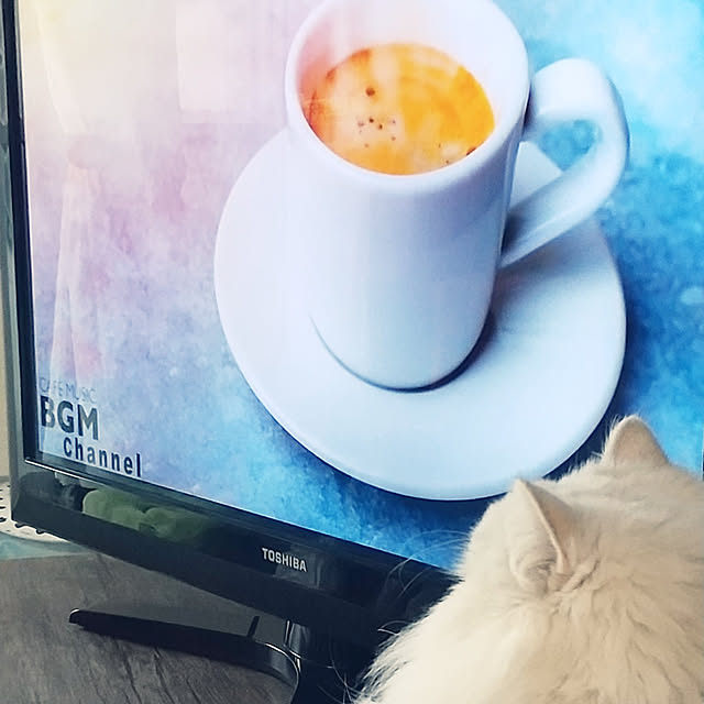 hakutomoroさんの実例写真