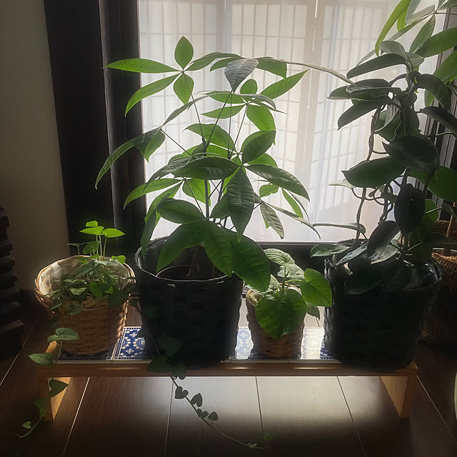 mommyさんの部屋