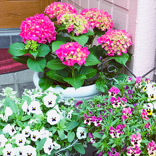 yukariさんの実例写真