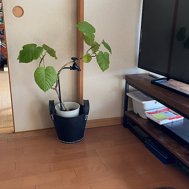 cagosukiさんの実例写真