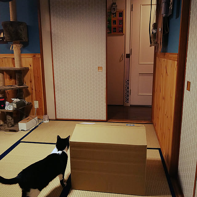 okyosan101さんの実例写真