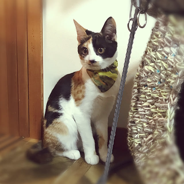 maroさんの実例写真