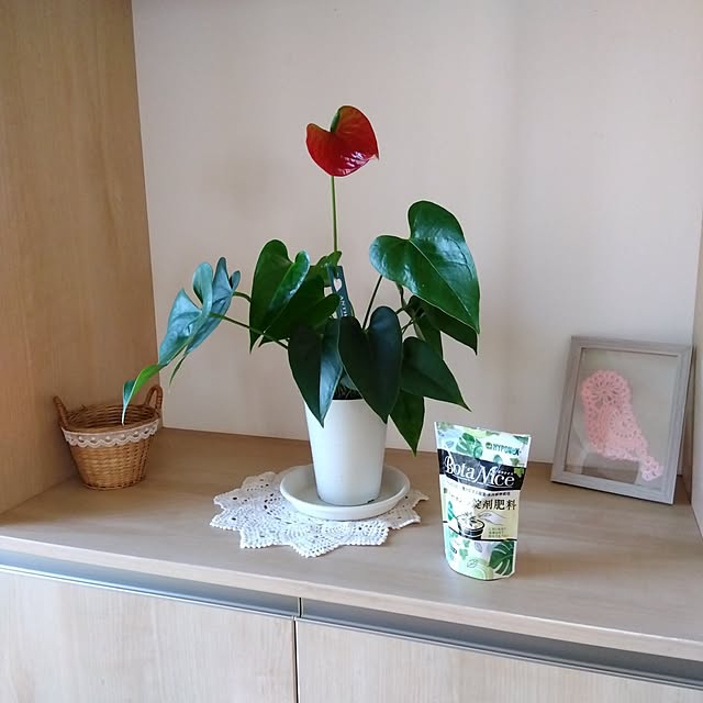 Motomeさんの部屋