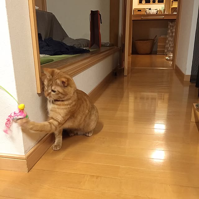 hanaさんの実例写真