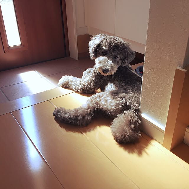 moppoさんの実例写真
