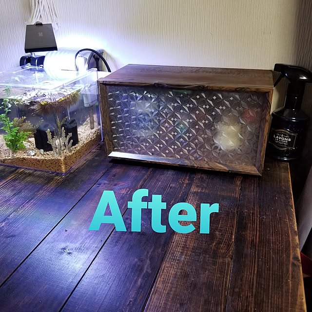 midoriさんの部屋