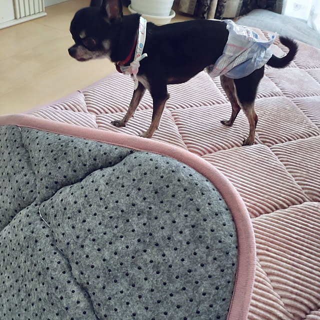 Bienvenueさんの実例写真