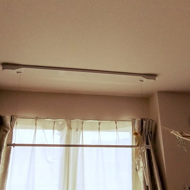 toratanさんの実例写真