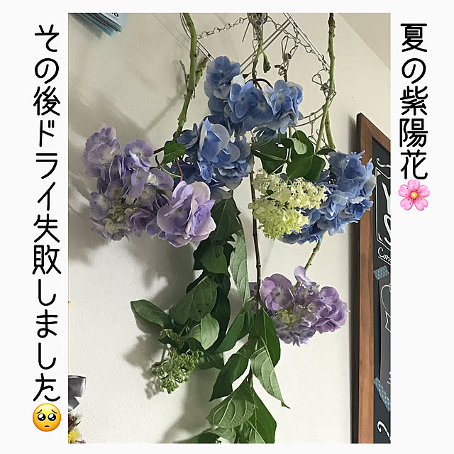 AOIさんの実例写真