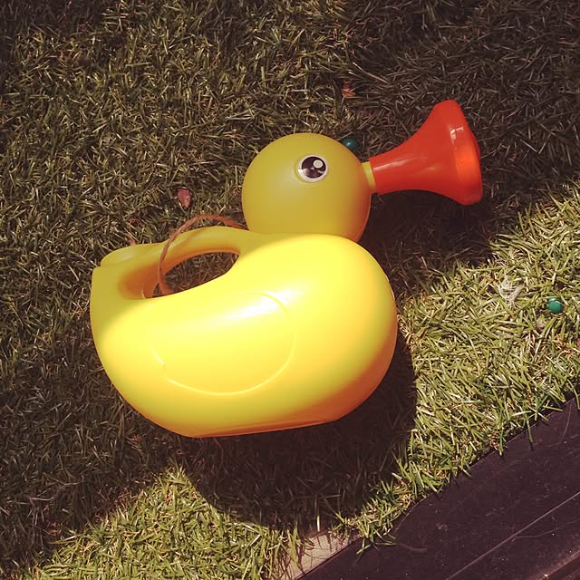 love1231さんの実例写真