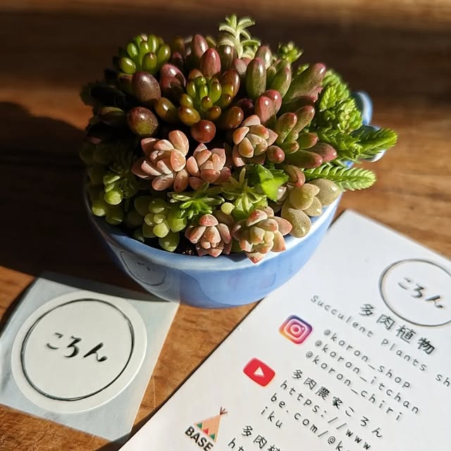 ciiiさんの実例写真